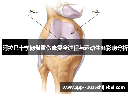 阿拉巴十字韧带重伤康复全过程与运动生涯影响分析